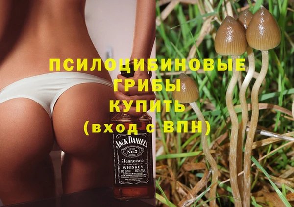 бутират Михайловка