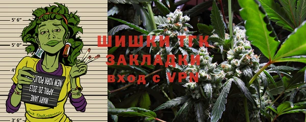 PSILOCYBIN Михайлов