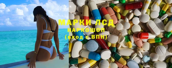ПСИЛОЦИБИНОВЫЕ ГРИБЫ Дмитров
