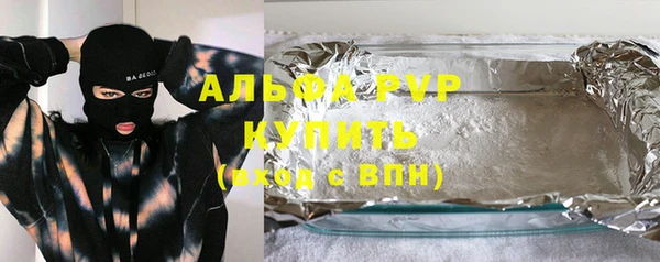 PSILOCYBIN Михайлов