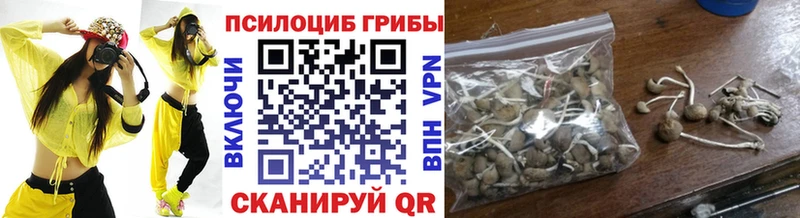маркетплейс как зайти  Железногорск-Илимский  Псилоцибиновые грибы ЛСД 